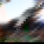 article-image