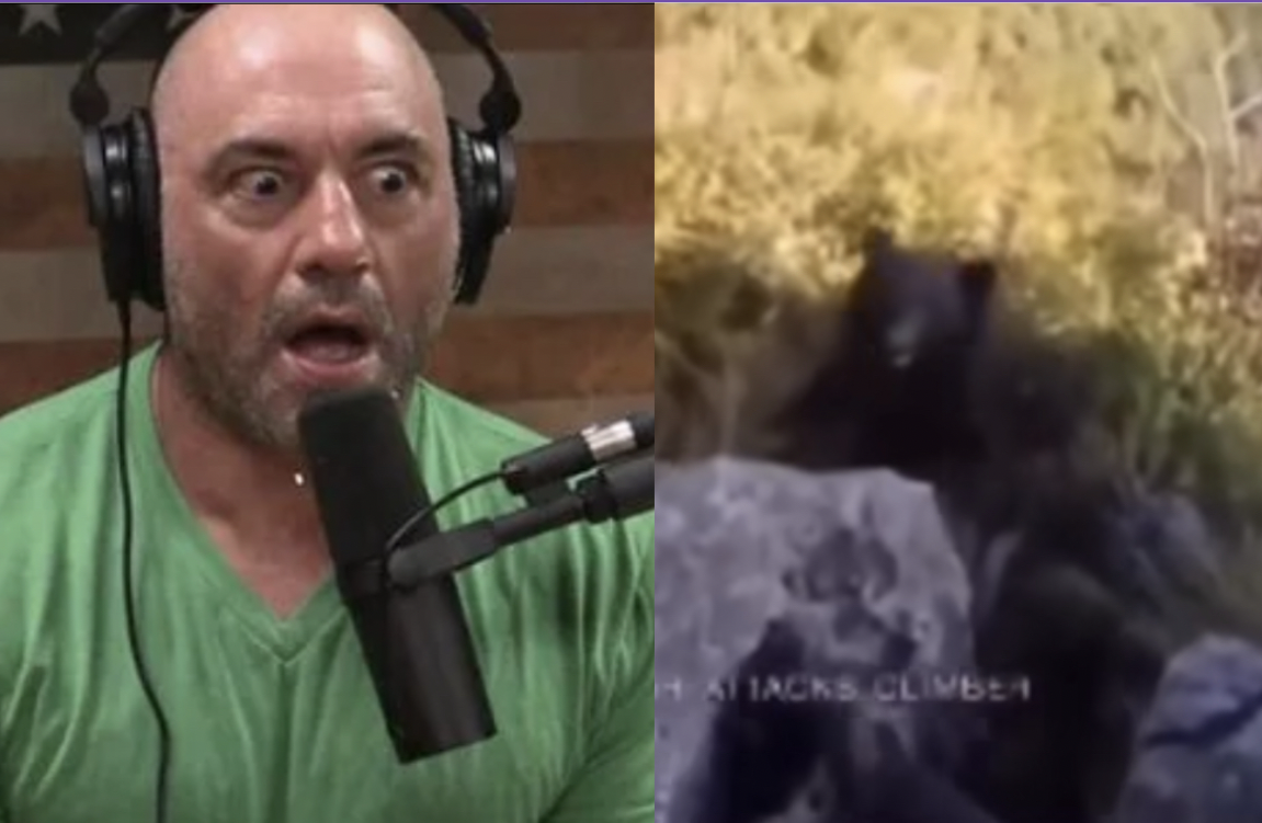 Joe Rogan Reacts to a LifeThreatening Incident as ‘Very Fortunate’ Man Battled Wild Bear