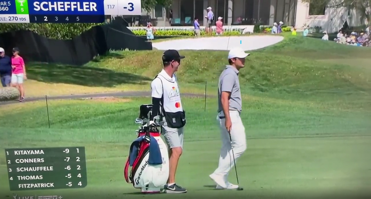 (Video) ‘Pressure Valve Release’ Fans Lose Their Minds as Scottie