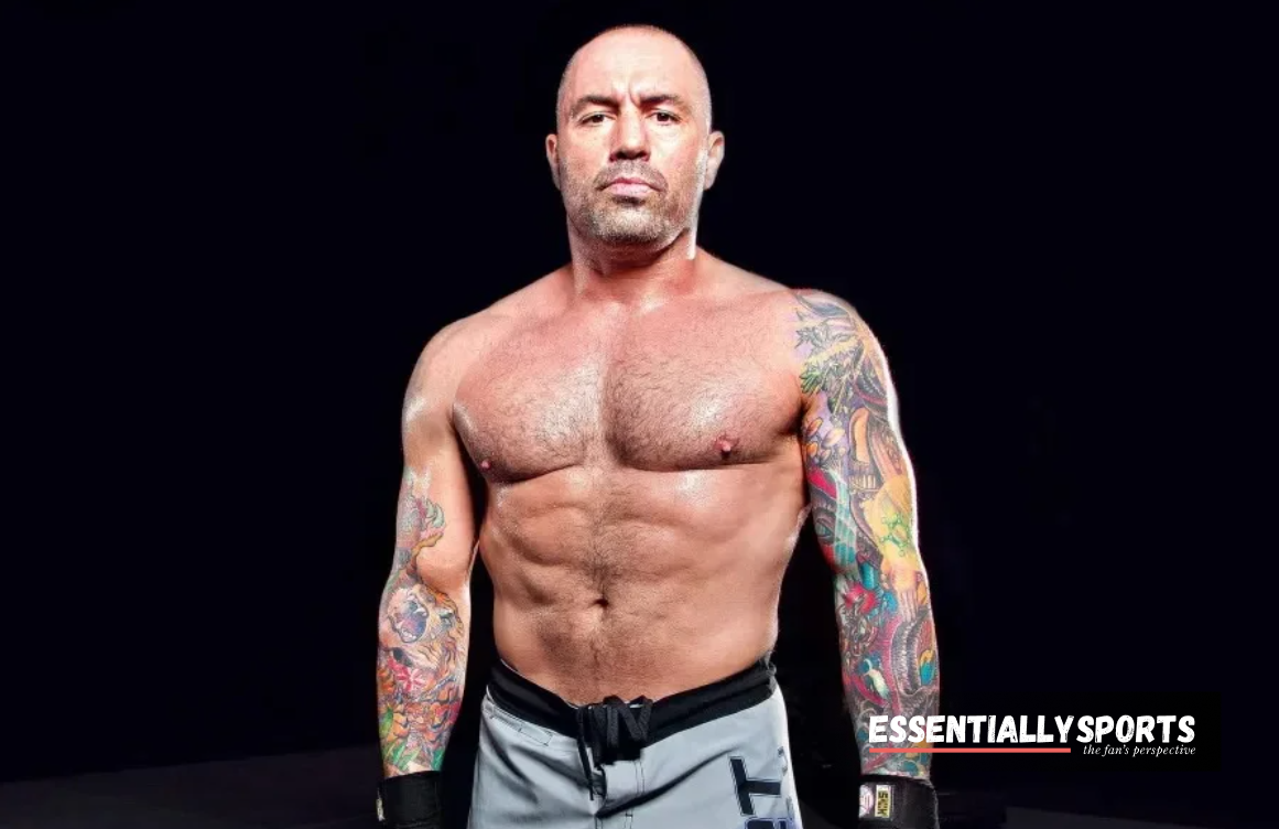 Joe Rogan & Royce Gracie Object to Dana White & UFC’s Decision to Ban