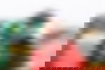 article-image