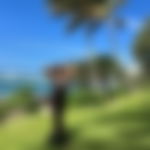 article-image