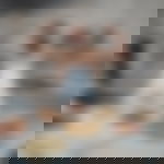 article-image