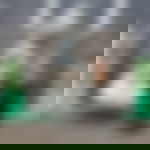 article-image