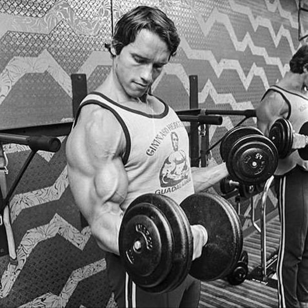 Arnold Schwarzenegger