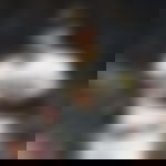 article-image