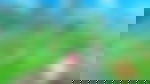 article-image