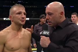 TJ Dillashaw, Joe Rogan