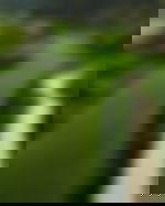 article-image