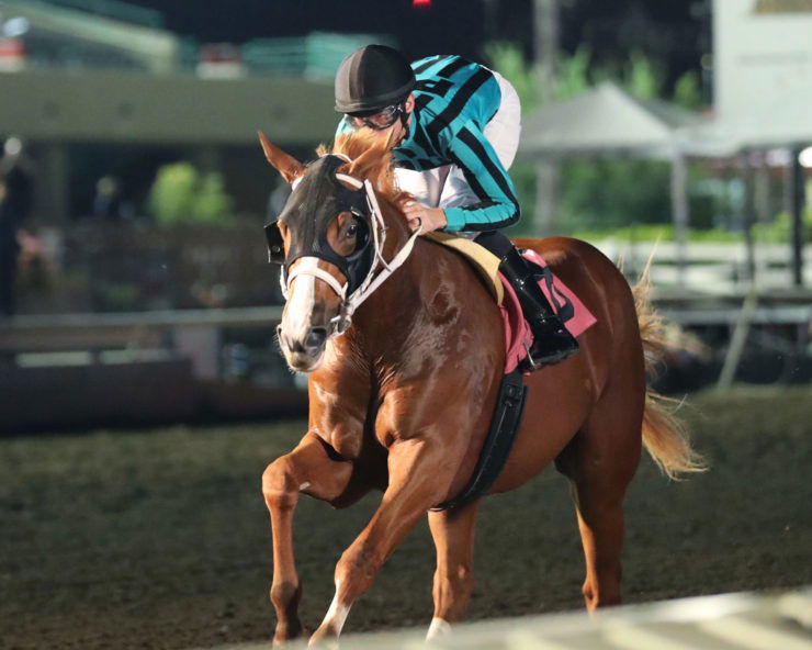 “Raced Far Too Young” Days After Horrifying Injury, Kentucky Derby