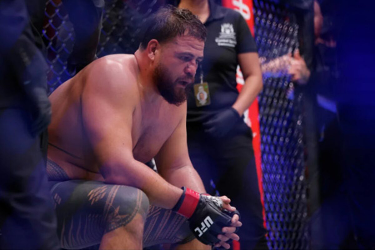 ufc 334