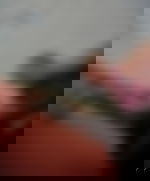 article-image