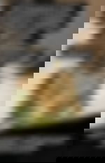 article-image