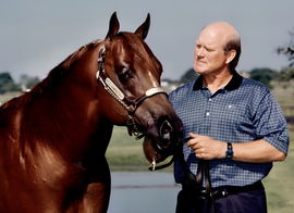 Terry Bradshaw Horse