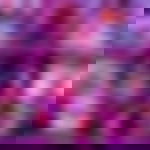 article-image
