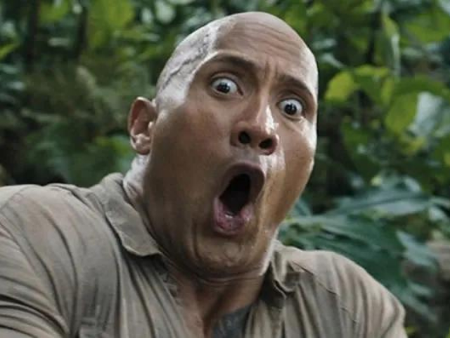 when the rock is sus -   The rock dwayne johnson, Funny faces  pictures, The rock