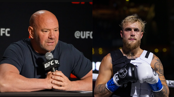 dana white-jake paul