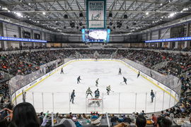 AHL