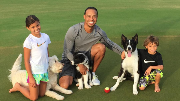 Tiger Woods Charlie Woods Sam Woods Dogs Untitiled