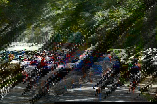 feature-image