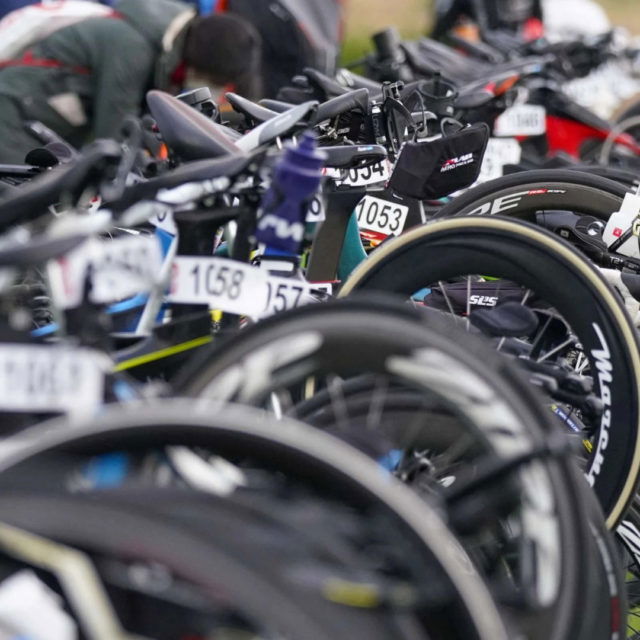 Triathlon bike transport service hotsell