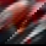 article-image