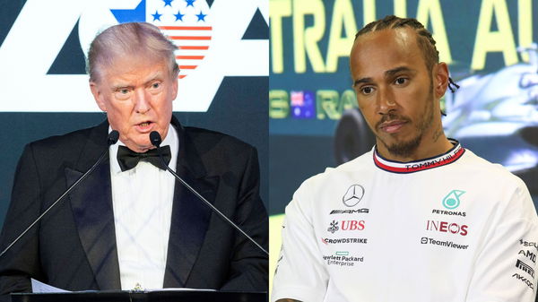 Trump Lewis