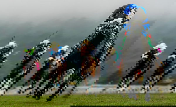 feature-image
