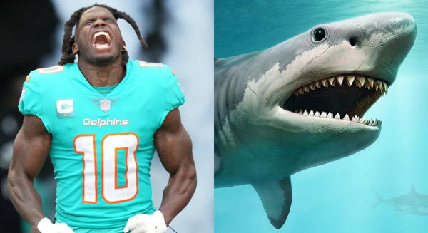 Drew Rosenhaus Wrestles Shark On Fishing Trip With Tyreek Hill