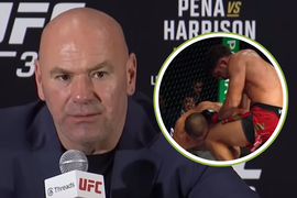 Dana White