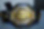UFC Belt