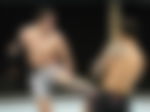 article-image