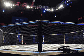 UFC, MMA, Cage