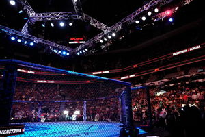 UFC Octagon