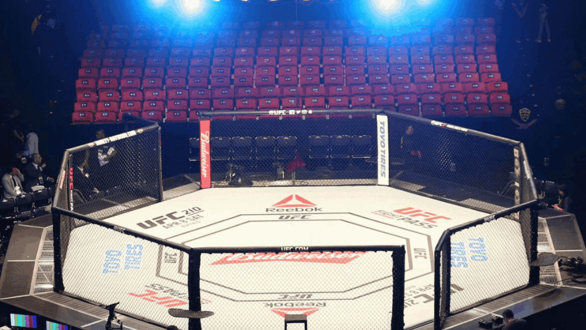 UFC Octagon