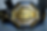 UFC TITLE