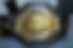 UFC belt