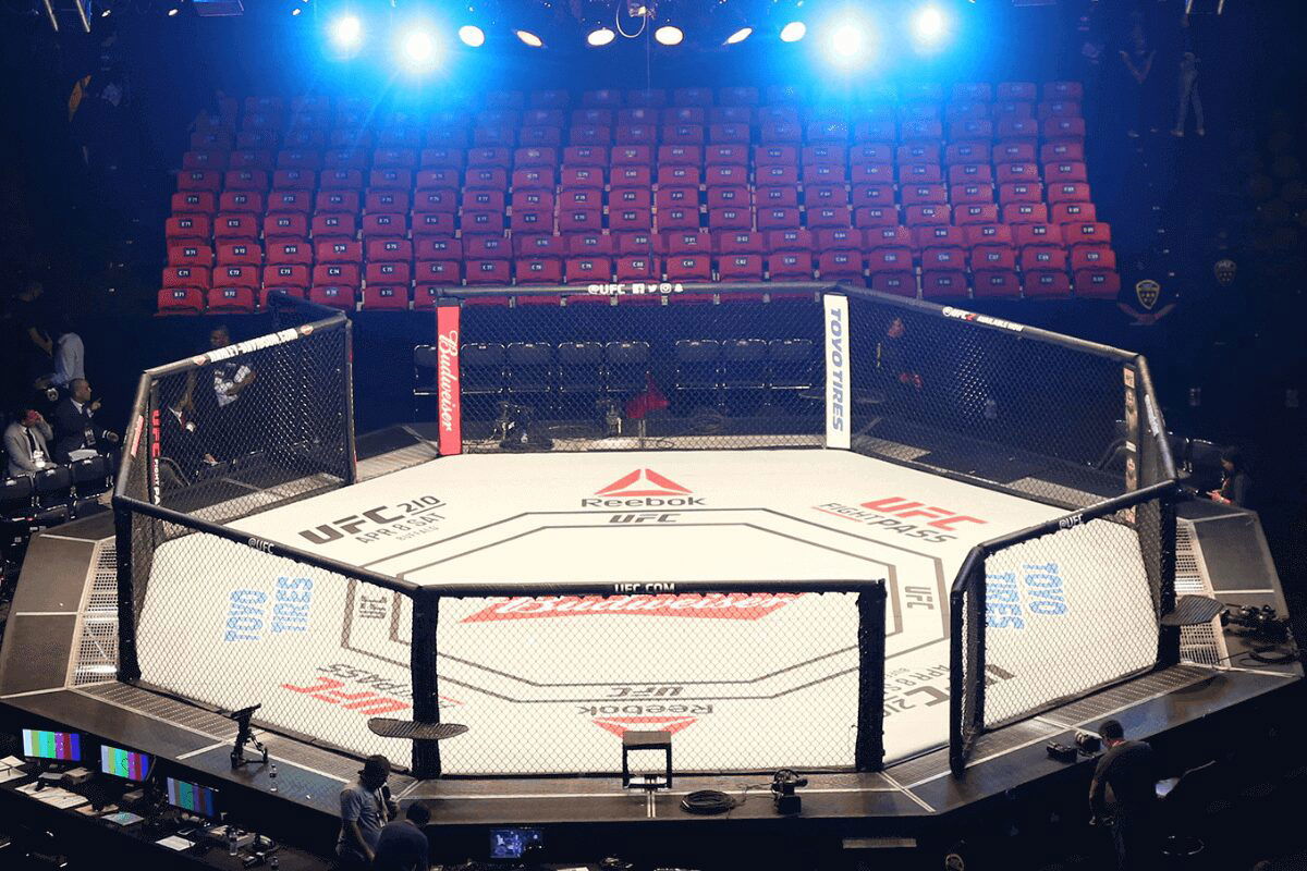 UFC Legend Faces 6-Year Imprisonment Risk After Pleading Guilty on Gun Charges