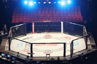 UFC Octagon