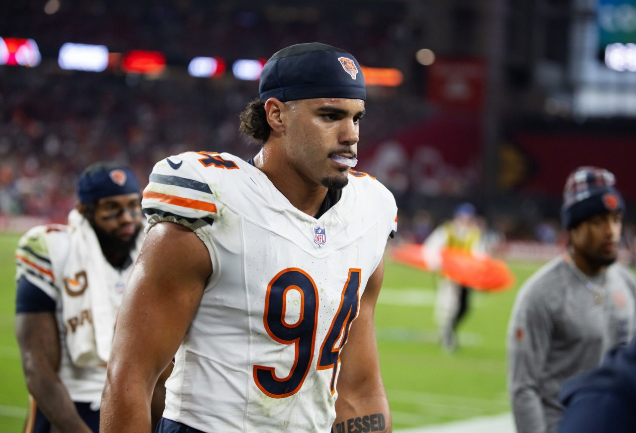 Bears