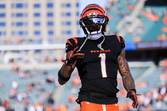 NFL: Cleveland Browns at Cincinnati Bengals