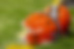 Image for 74-YO Browns Legend Rescued by Firefighters After Near-Drowning Incident in
Cleveland