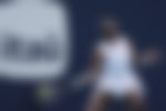 Image for Venus Williams Turns Heads With Another Wildcard Despite Debate Over Her Form