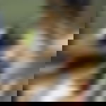 article-image