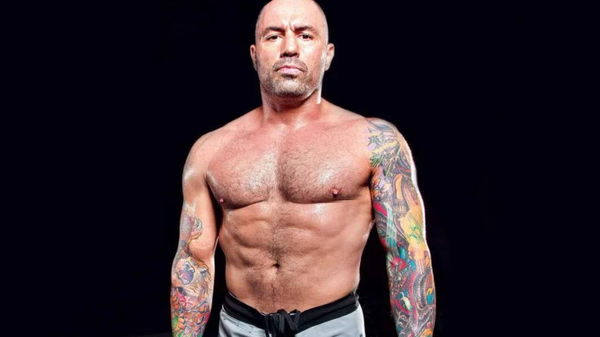 Joe Rogan buff