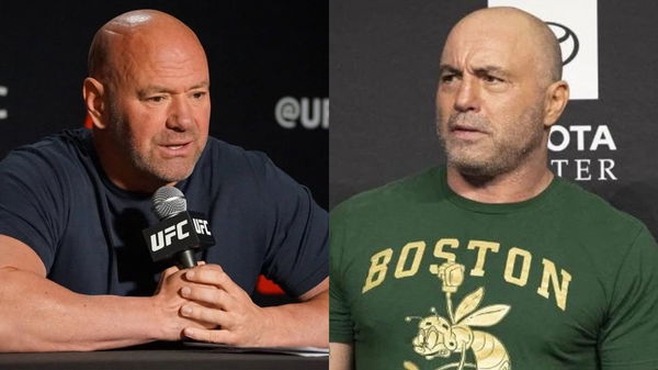 Bud Light Controversy: Dana White, Joe Rogan, and Co. Credited for