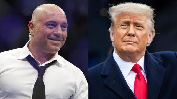 Joe Rogan and Donald Trump