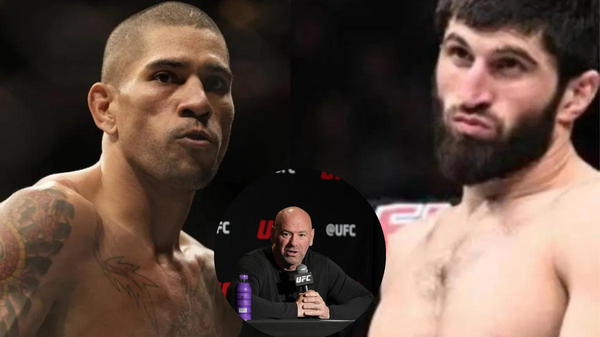 Alex Pereira, Magomed Ankalaev, Dana White