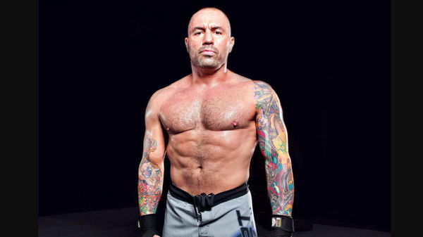 Joe Rogan Ripped