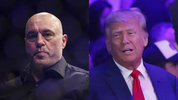 Joe Rogan, Donald Trump